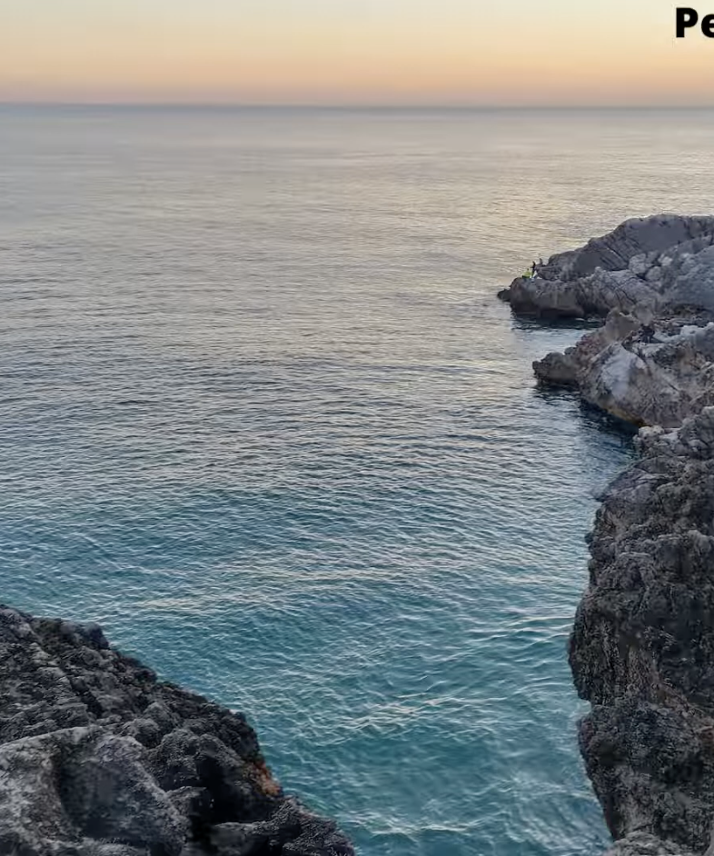 screenshot 2025 08 22 at 09.49.31