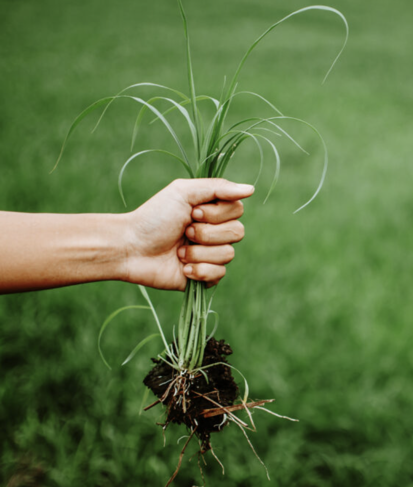 screenshot 2025 08 22 at 09.57.36