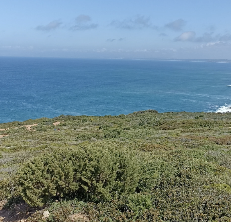 screenshot 2025 10 21 at 12.29.47